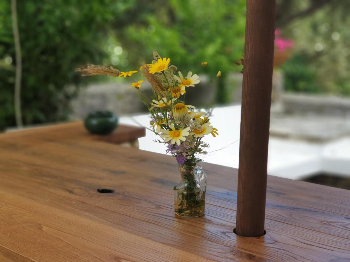 L'Antico Ulivo Villa Santa Cesarea Terme Dış mekan fotoğraf