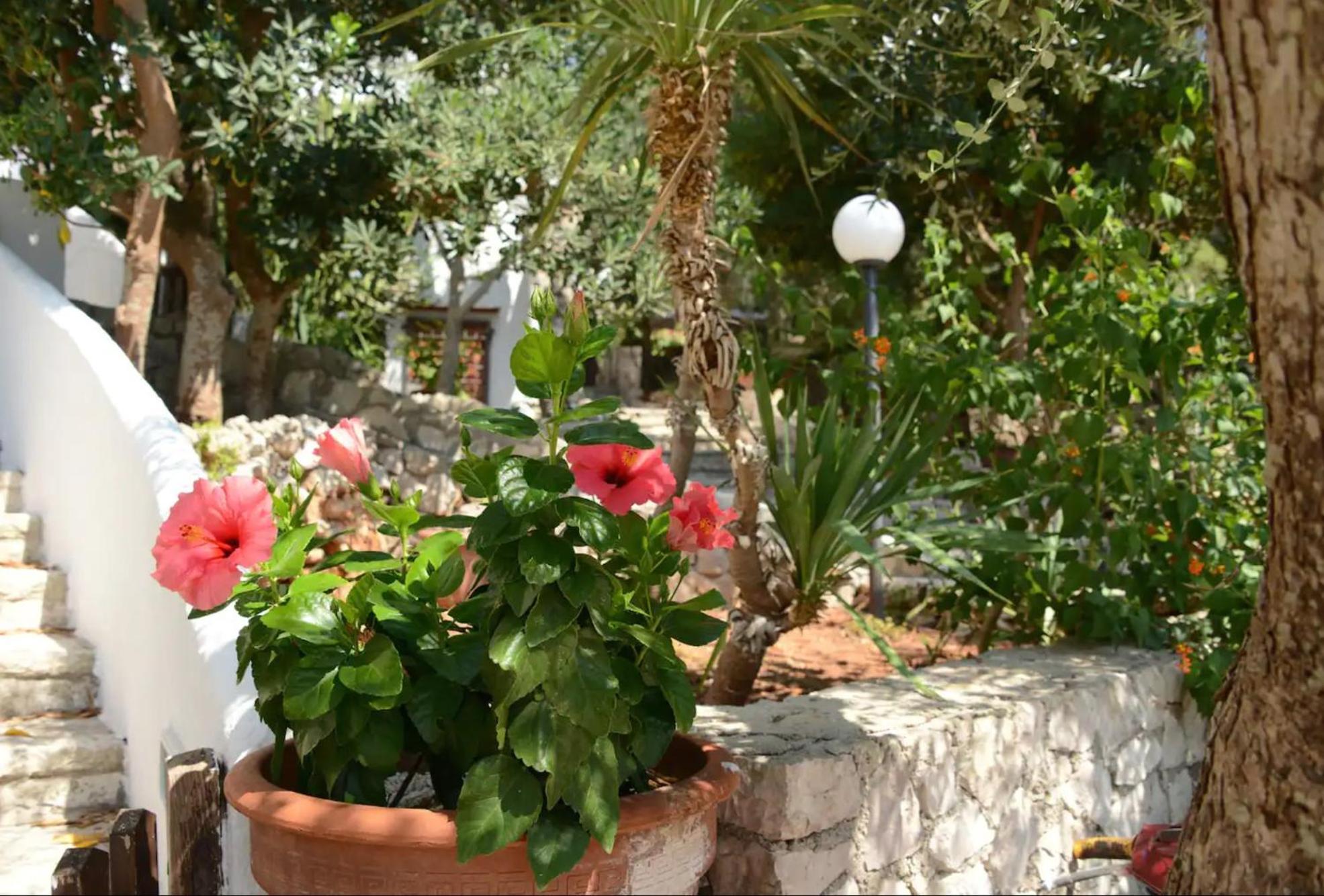 L'Antico Ulivo Villa Santa Cesarea Terme Dış mekan fotoğraf