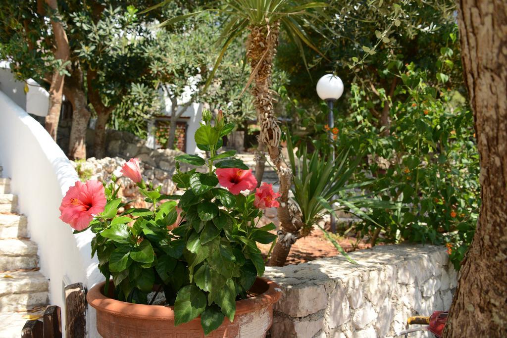 L'Antico Ulivo Villa Santa Cesarea Terme Dış mekan fotoğraf