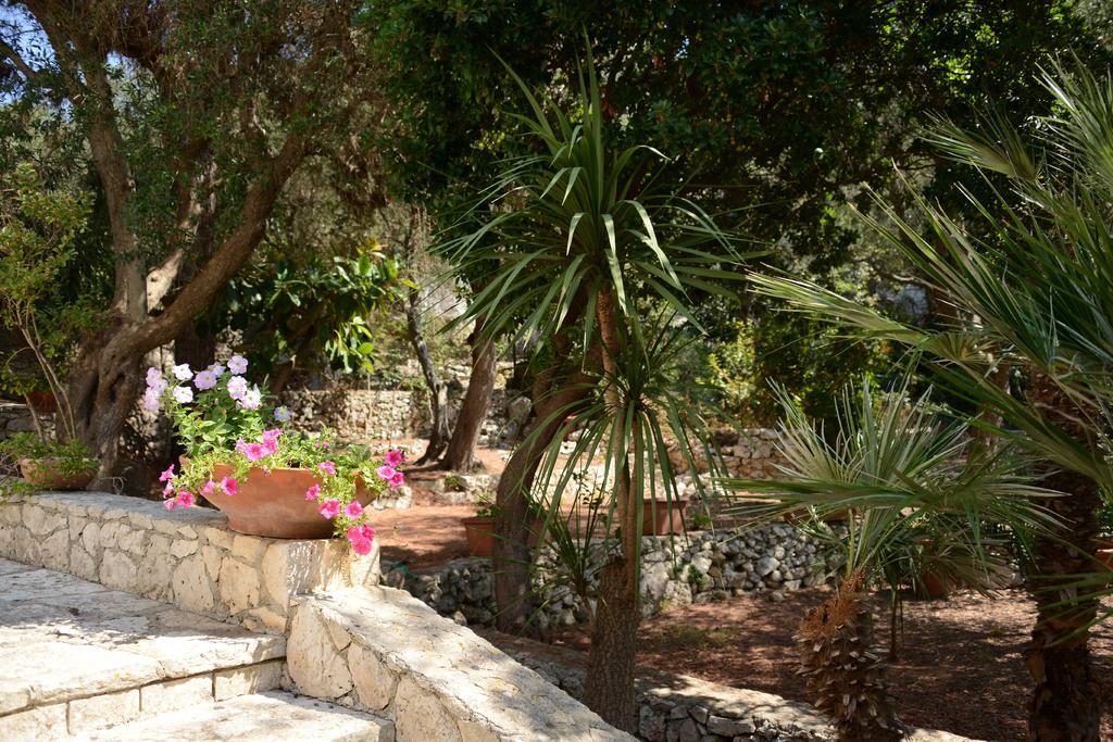 L'Antico Ulivo Villa Santa Cesarea Terme Dış mekan fotoğraf